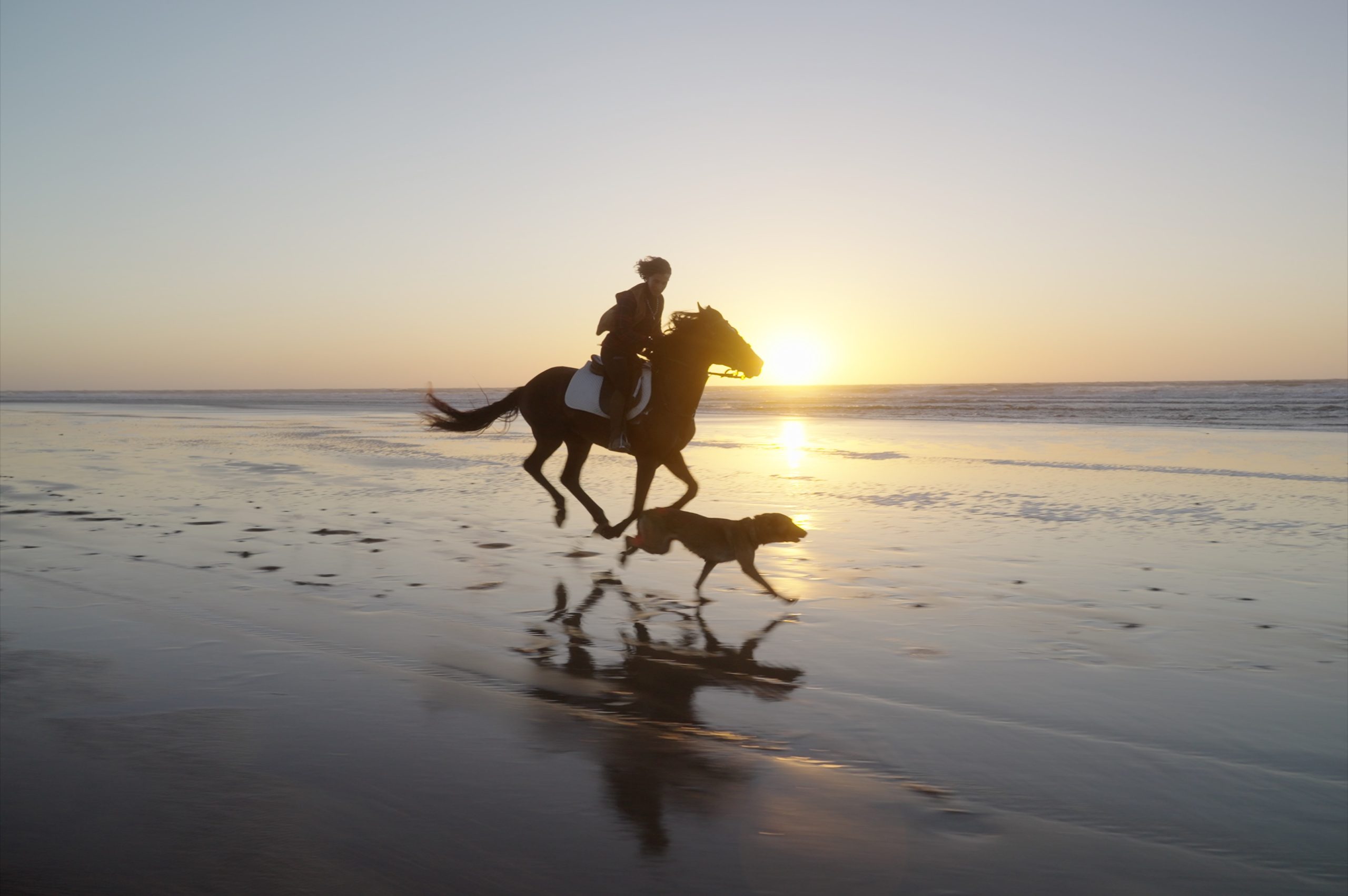 Reilín Joey - The SECRET SAUCE(Premium) 热门电影制作胶片模拟LUT/POWERGRADE后期调色套装包 + 灰片视频 + 色彩校正和色彩分级大师课程  (中文字幕) , 第8张-素材湾丨精选海外优质设计素材资源 Reilín Joey - The SECRET SAUCE(Premium) 热门电影制作胶片模拟LUT/POWERGRADE后期调色套装包 + 灰片视频 + 色彩校正和色彩分级大师课程  (中文字幕) , sucaiwan.com