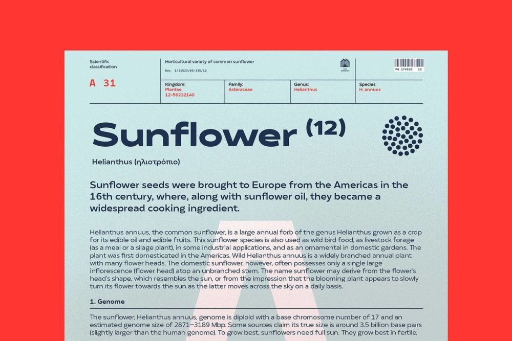 现代时尚标签海报包装网站设计几何风PSAI无衬线英文字体安装包 Matahari Sans Font Family 设计素材 第10张-素材湾丨精选海外优质设计素材资源 现代时尚标签海报包装网站设计几何风PSAI无衬线英文字体安装包 Matahari Sans Font Family 设计素材 sucaiwan.com