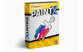 FCPX插件：瘦脸液化磨皮祛斑美颜调色视频跟踪效果插件 PaintX4.0.6破解版