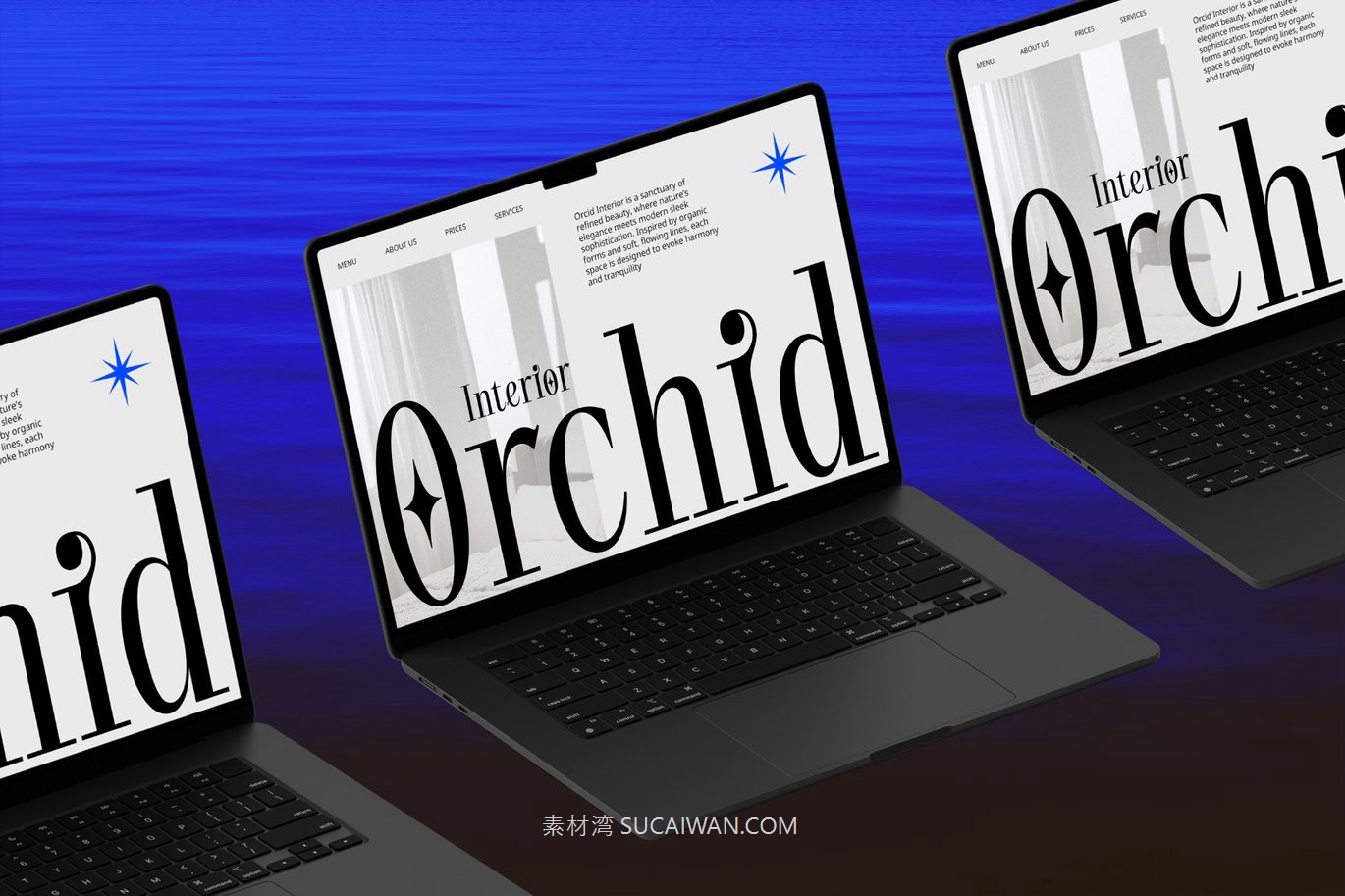 英文字体:现代美学优雅简约精致设计衬线封面海报字体 Quack - Aesthetic Font , 第4张-素材湾丨精选海外优质设计素材资源 英文字体:现代美学优雅简约精致设计衬线封面海报字体 Quack - Aesthetic Font , sucaiwan.com