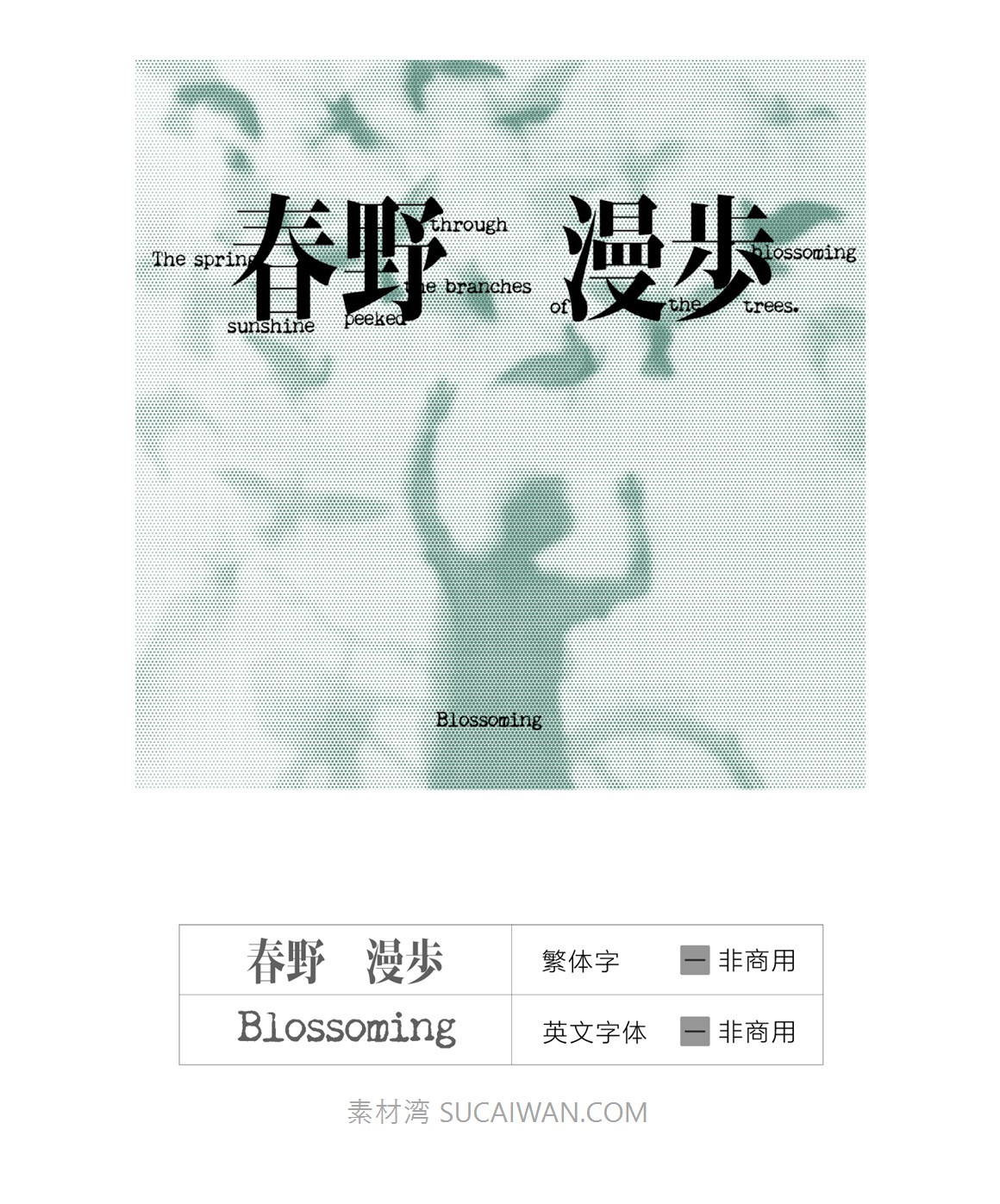 复古文艺半色调风格宋体vlog影视频剪辑封面海报手写中英文字体 , sucaiwan.com