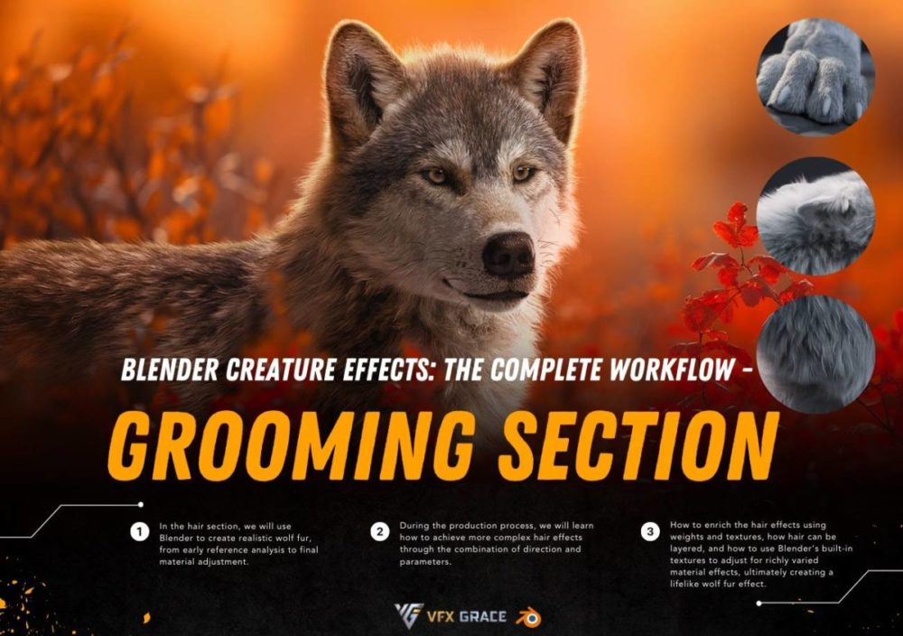 Blender创建逼真狼毛动物毛发视频教程 中英文字幕 Vfx Grace – Blender Creature Effects – Grooming Section , 第1张-素材湾丨精选海外优质设计素材资源 Blender创建逼真狼毛动物毛发视频教程 中英文字幕 Vfx Grace – Blender Creature Effects – Grooming Section , sucaiwan.com