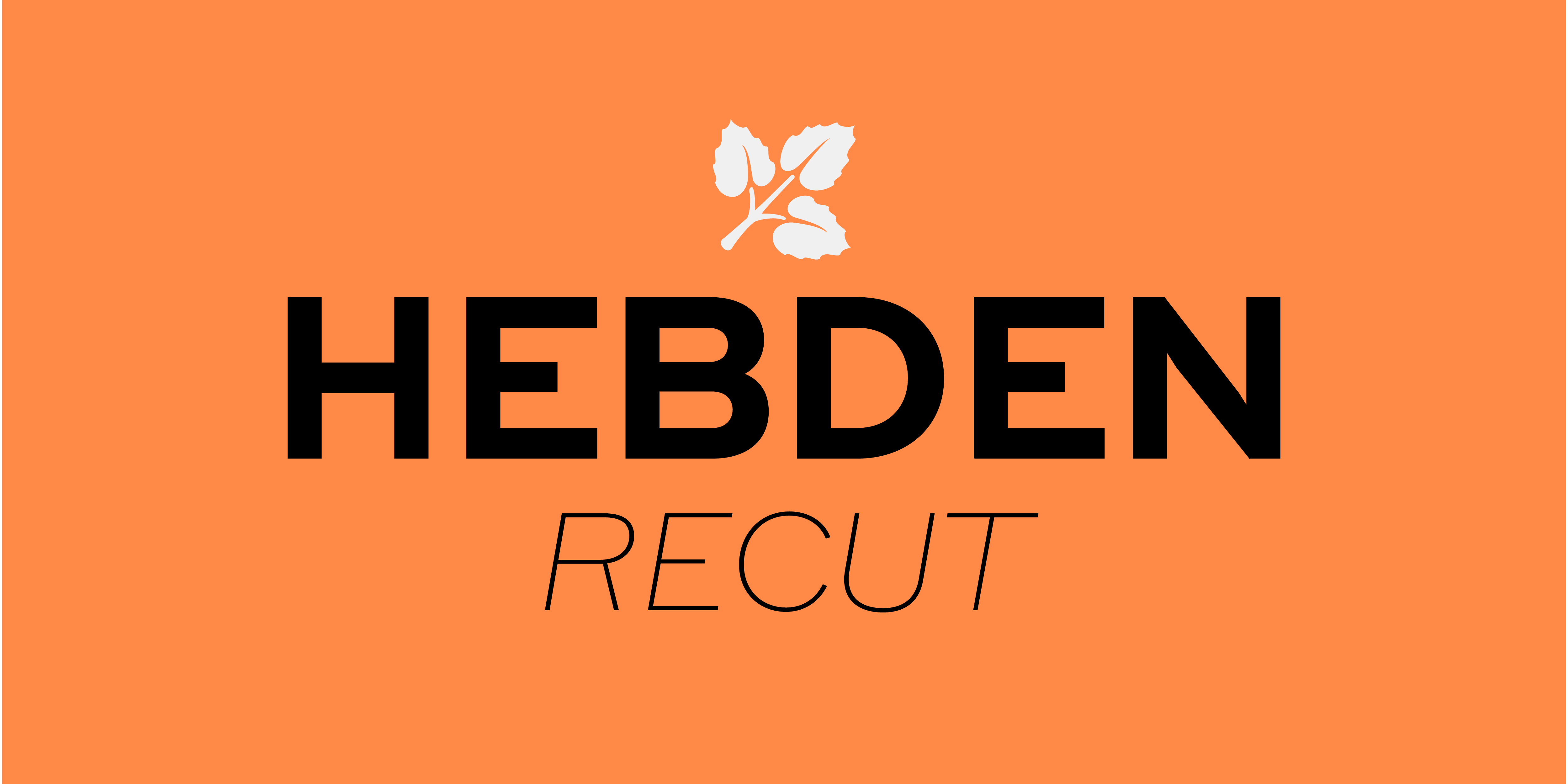 传统复古怀旧标签标识Logo设计PSAI无衬线英文字体安装包 Myfonts – Hebden Recut Font Family , 第1张-素材湾丨精选海外优质设计素材资源 传统复古怀旧标签标识Logo设计PSAI无衬线英文字体安装包 Myfonts – Hebden Recut Font Family , sucaiwan.com