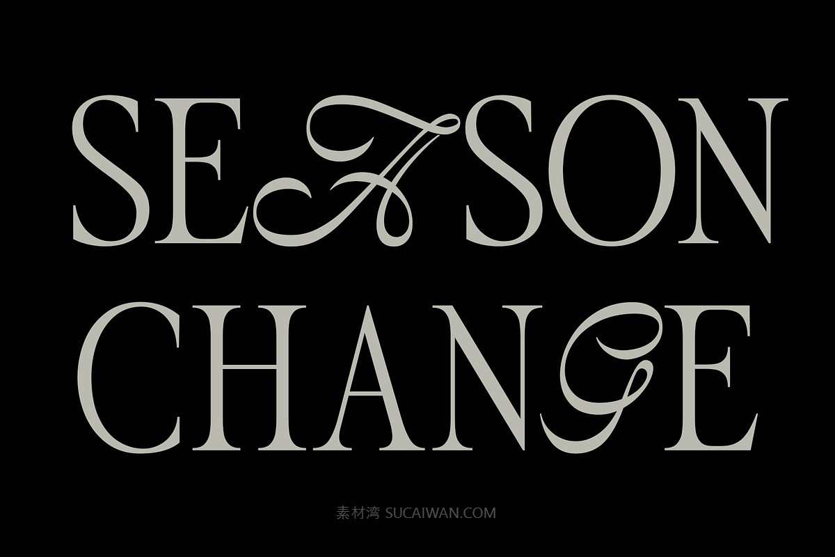 经典美感优雅流畅曲线品牌海报logo设计衬线英文字体安装包素材 ED Cadamuro – Combination font , sucaiwan.com