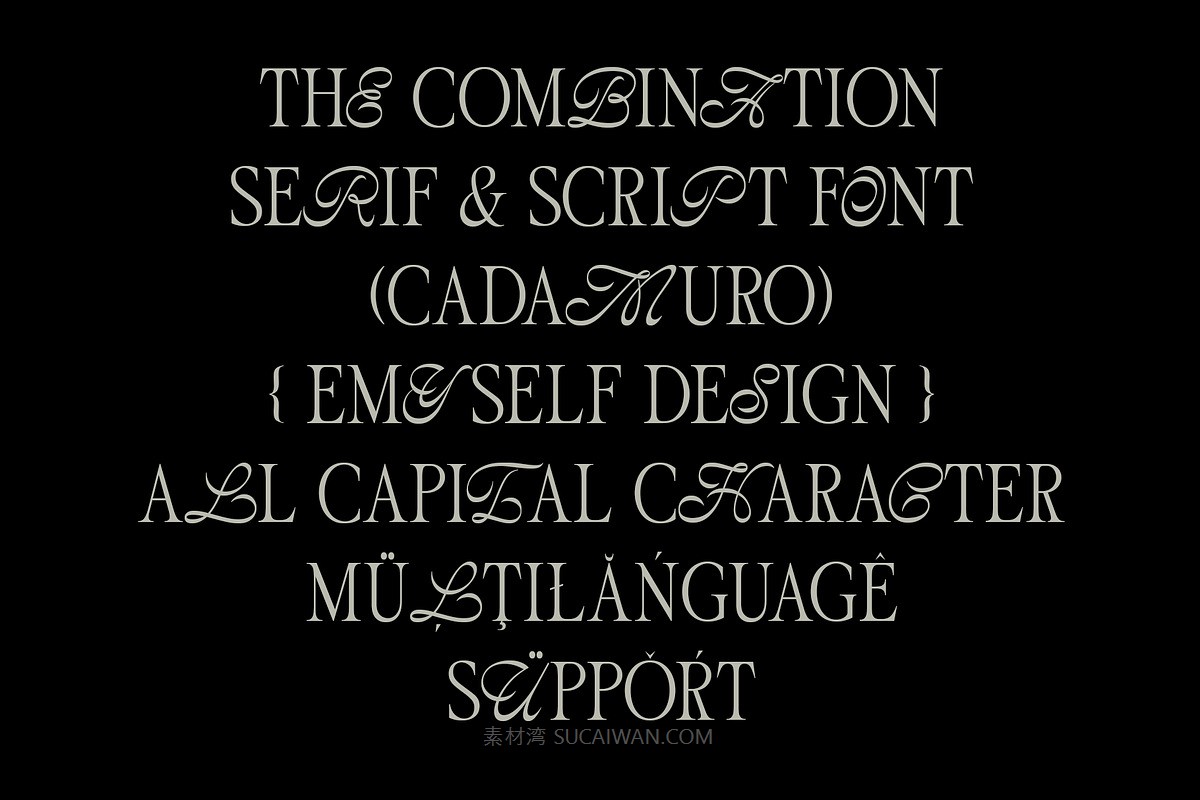 经典美感优雅流畅曲线品牌海报logo设计衬线英文字体安装包素材 ED Cadamuro – Combination font , sucaiwan.com