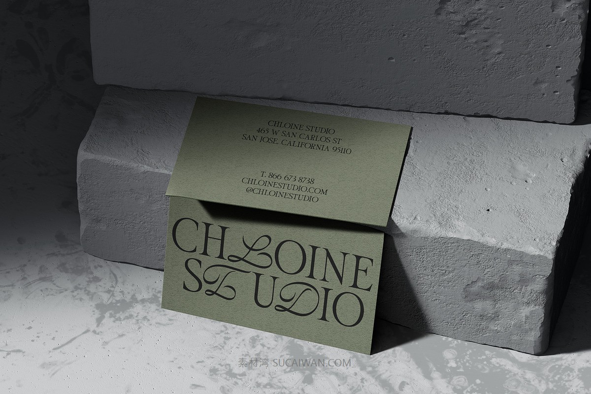 经典美感优雅流畅曲线品牌海报logo设计衬线英文字体安装包素材 ED Cadamuro – Combination font , sucaiwan.com