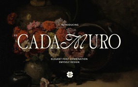 经典美感优雅流畅曲线品牌海报logo设计衬线英文字体安装包素材 ED Cadamuro – Combination font