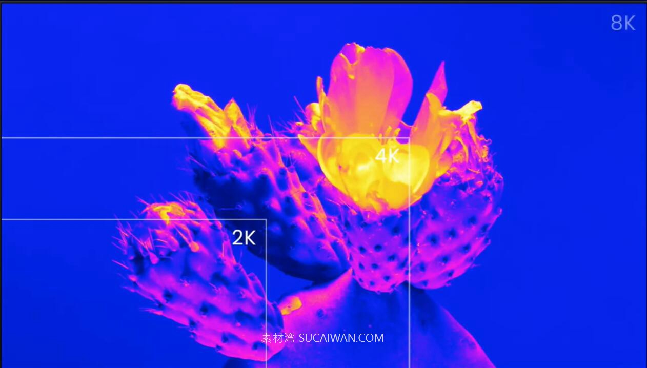 34组迷幻嘻哈风热像仪热成像视频颜色分级调色LUT预设包 Pixflow – CL-Acid Coloring LUTs , 第6张-素材湾丨精选海外优质设计素材资源 34组迷幻嘻哈风热像仪热成像视频颜色分级调色LUT预设包 Pixflow – CL-Acid Coloring LUTs , sucaiwan.com