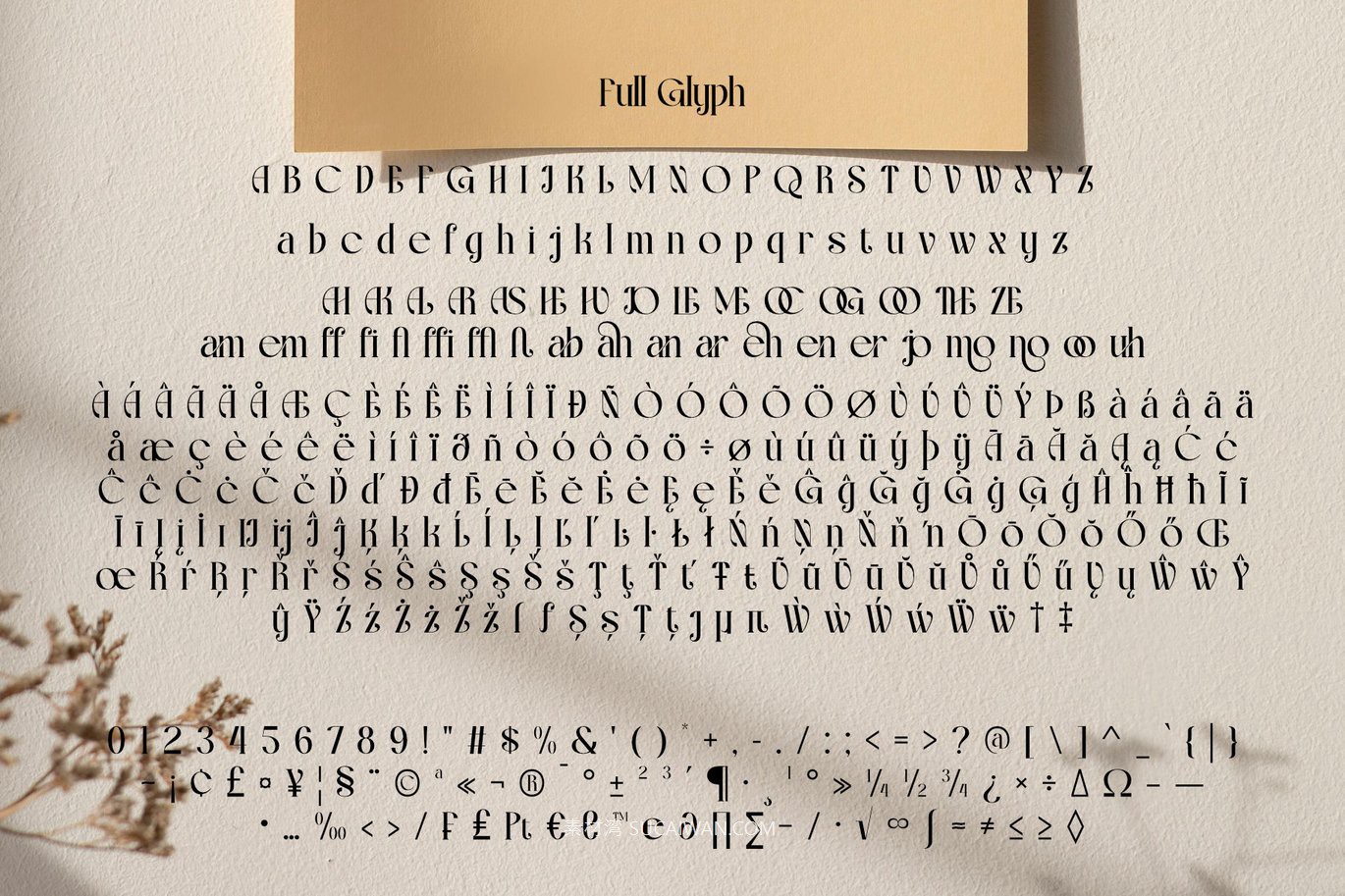 时尚优雅品牌海报徽标设计衬线英文字体安装包 Qebyoda – Elegant Luxury Font , 第2张-素材湾丨精选海外优质设计素材资源 时尚优雅品牌海报徽标设计衬线英文字体安装包 Qebyoda – Elegant Luxury Font , sucaiwan.com