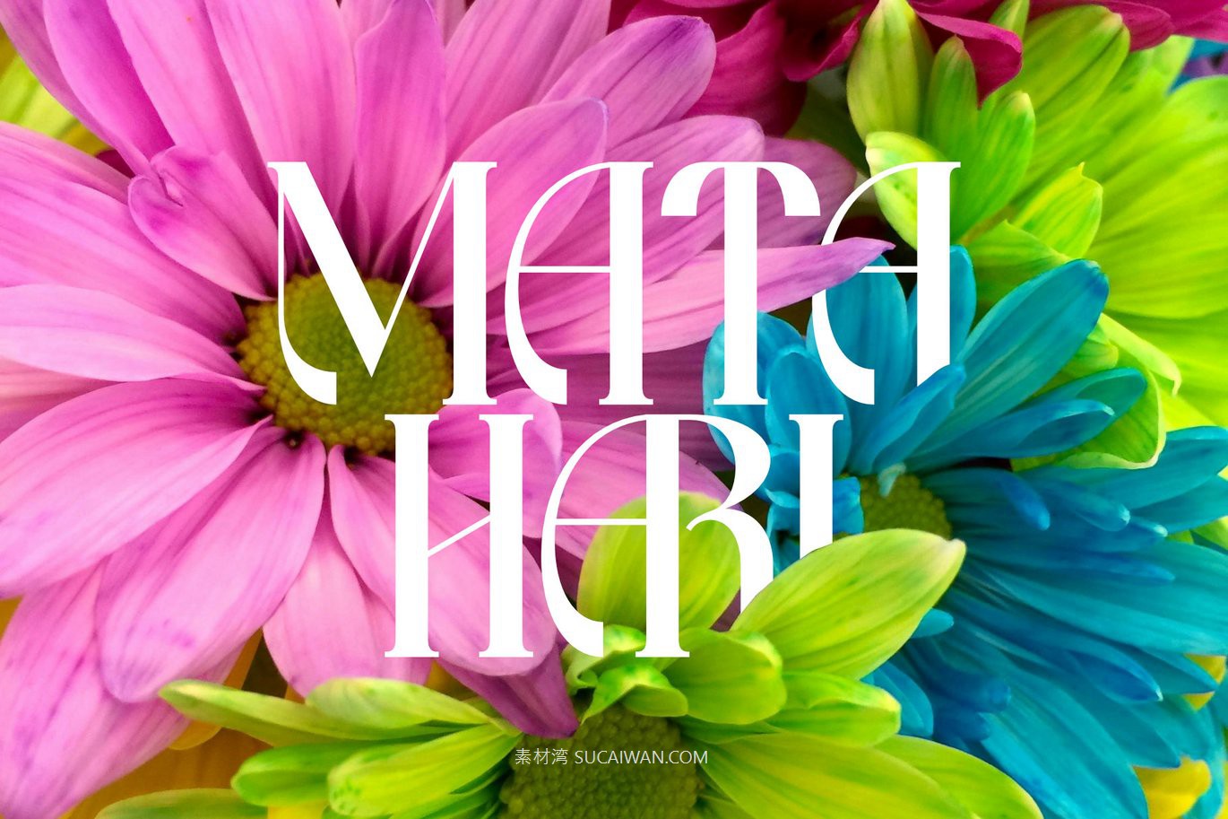 时尚优雅品牌海报徽标设计衬线英文字体安装包 Qebyoda – Elegant Luxury Font , 第3张-素材湾丨精选海外优质设计素材资源 时尚优雅品牌海报徽标设计衬线英文字体安装包 Qebyoda – Elegant Luxury Font , sucaiwan.com