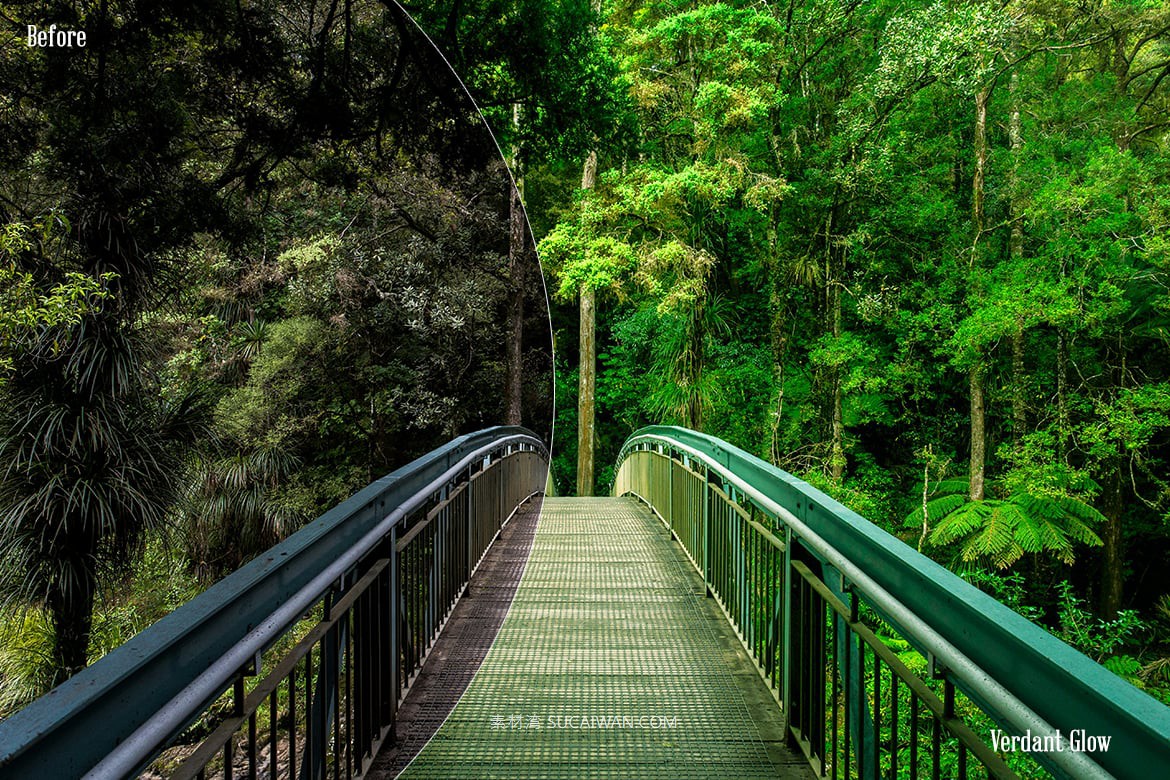 翠绿发光美学柔和色调自然景色摄影照片调色Lightroom and Photoshop预设 Verdant Radiance Lightroom and Photoshop Presets , 第3张-素材湾丨精选海外优质设计素材资源 翠绿发光美学柔和色调自然景色摄影照片调色Lightroom and Photoshop预设 Verdant Radiance Lightroom and Photoshop Presets , sucaiwan.com