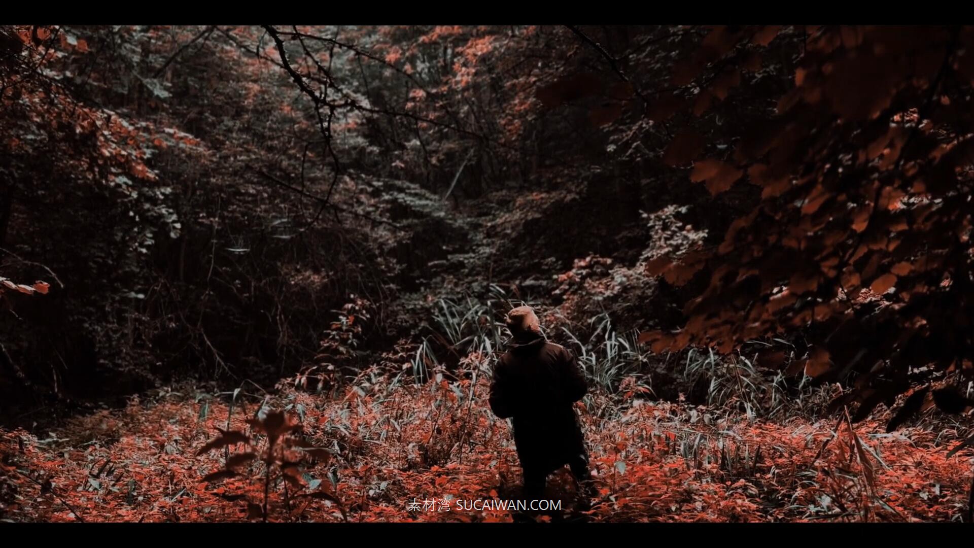 25组电影级Apple iPhone Log手机视频色彩分级调色Lut预设包 Pixflow – CL-iPhone LUTs , 第7张-素材湾丨精选海外优质设计素材资源 25组电影级Apple iPhone Log手机视频色彩分级调色Lut预设包 Pixflow – CL-iPhone LUTs , sucaiwan.com