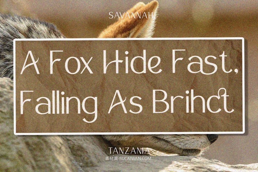 时尚优雅美学品牌包装婚礼请柬设计无衬线英文字体安装包 Harmonius Sans Serif Font , sucaiwan.com