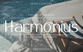 时尚优雅美学品牌包装婚礼请柬设计无衬线英文字体安装包 Harmonius Sans Serif Font