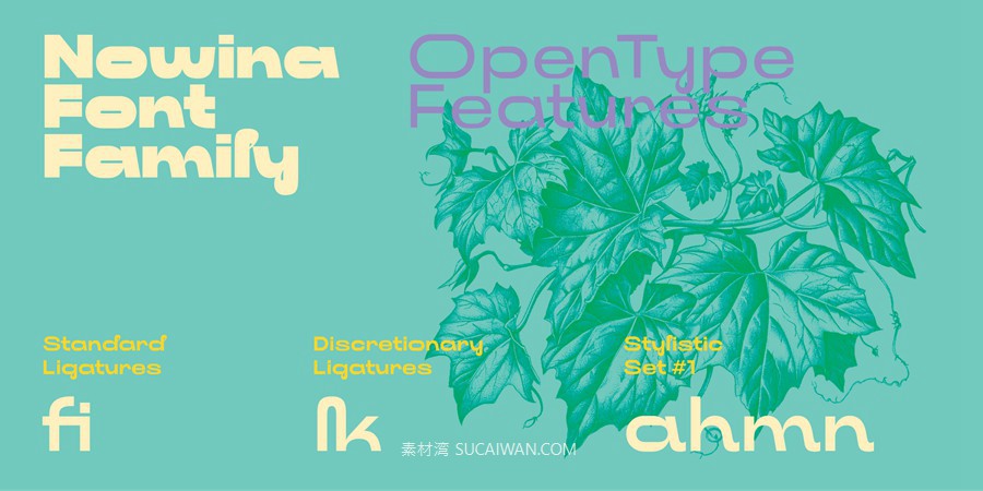 经典古怪前卫几何风徽标标题包装网站设计无衬线英文字体安装包 Myfonts – Nowina Font Family , 第2张-素材湾丨精选海外优质设计素材资源 经典古怪前卫几何风徽标标题包装网站设计无衬线英文字体安装包 Myfonts – Nowina Font Family , sucaiwan.com