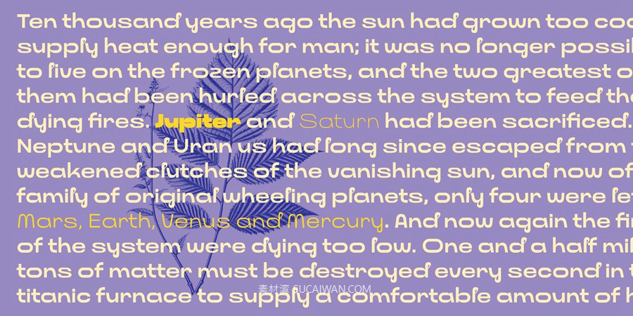 经典古怪前卫几何风徽标标题包装网站设计无衬线英文字体安装包 Myfonts – Nowina Font Family , 第3张-素材湾丨精选海外优质设计素材资源 经典古怪前卫几何风徽标标题包装网站设计无衬线英文字体安装包 Myfonts – Nowina Font Family , sucaiwan.com