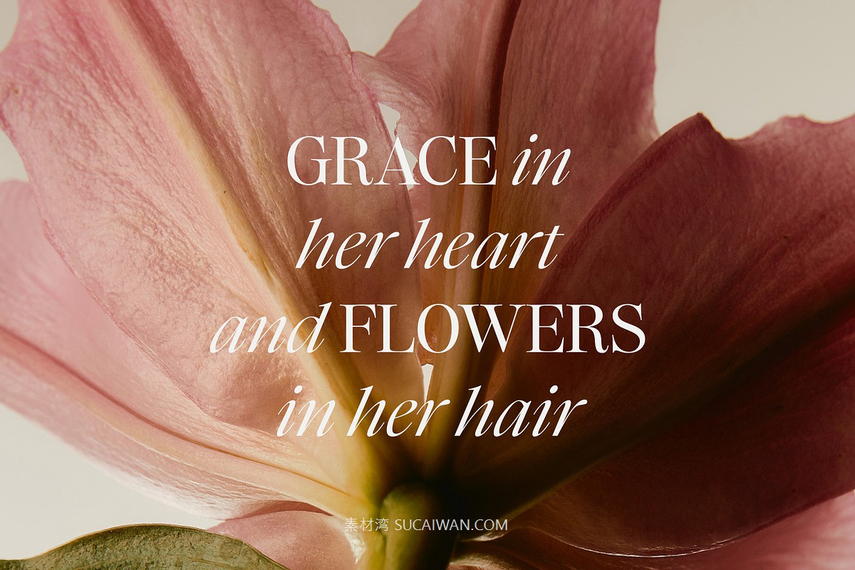 12款经典优雅沉稳精致现代奢侈品牌logo徽标大型标题排版签名英文字体家族 Ethic Serif 6-Weight Classy Family , 第9张-素材湾丨精选海外优质设计素材资源 12款经典优雅沉稳精致现代奢侈品牌logo徽标大型标题排版签名英文字体家族 Ethic Serif 6-Weight Classy Family , sucaiwan.com