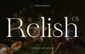 现代优雅品牌杂志包装徽标设计衬线英文字体安装包 Relish – Aesthetic Font