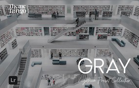 10组现代时尚灰度美学建筑景观摄影照片调色Lightroom预设 10 Grayscale Lightroom Presets