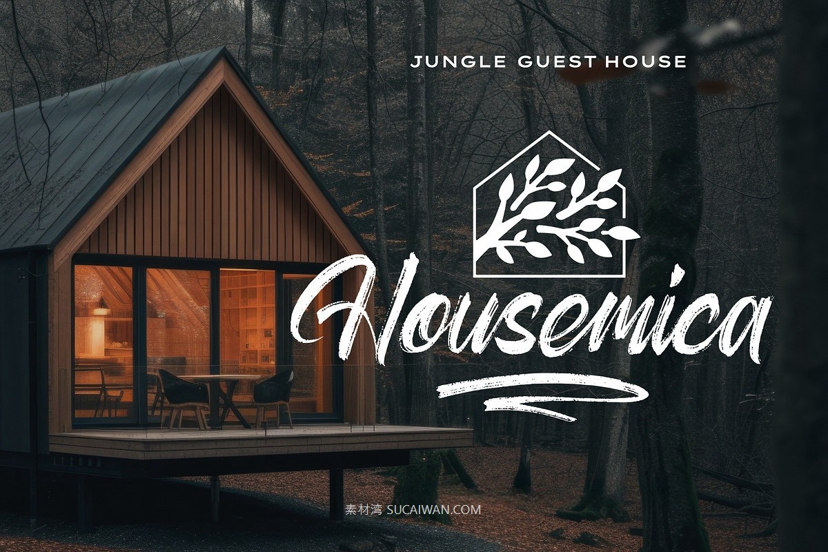 时尚优雅海报服装包装徽标设计笔刷手写英文字体安装包 Aether Melodies – Elegant Dry Brush Font , sucaiwan.com