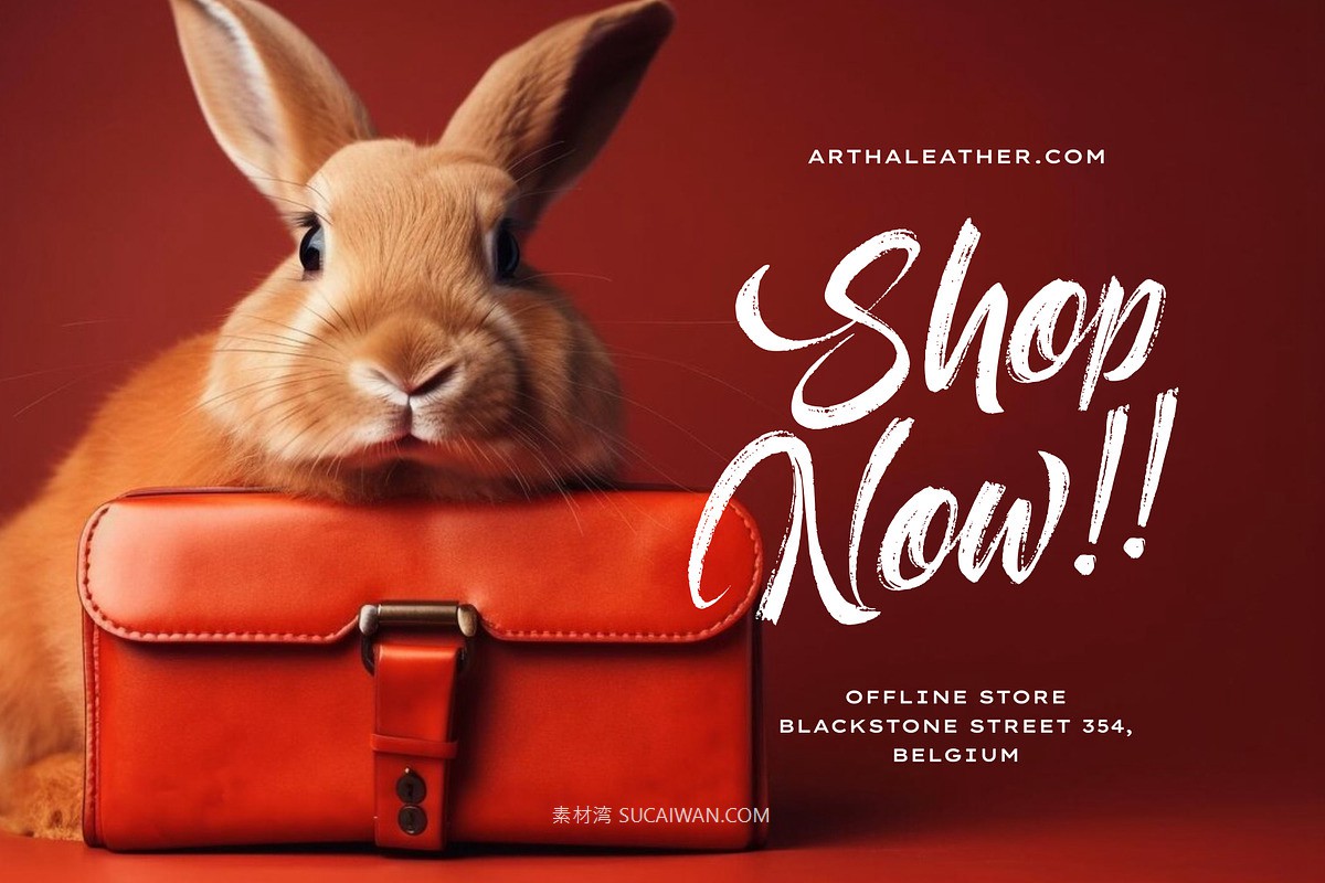 时尚优雅海报服装包装徽标设计笔刷手写英文字体安装包 Aether Melodies – Elegant Dry Brush Font , sucaiwan.com