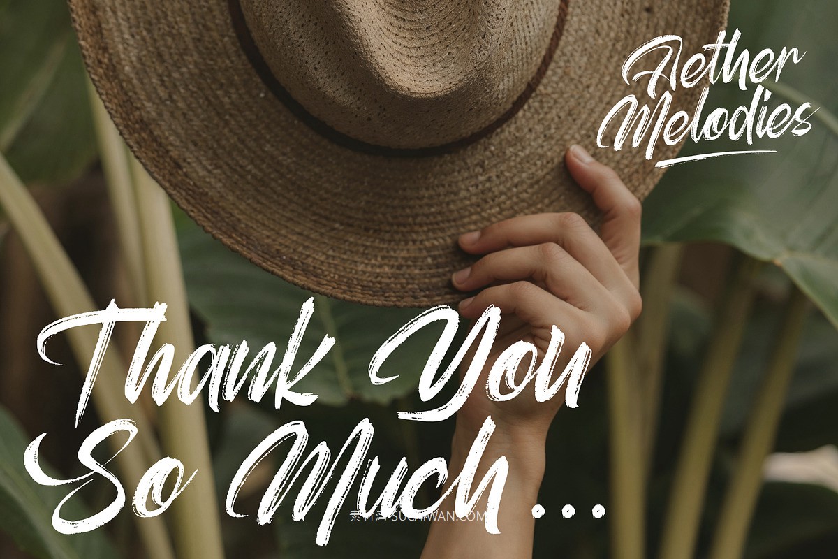 时尚优雅海报服装包装徽标设计笔刷手写英文字体安装包 Aether Melodies – Elegant Dry Brush Font , sucaiwan.com