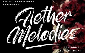 时尚优雅海报服装包装徽标设计笔刷手写英文字体安装包 Aether Melodies – Elegant Dry Brush Font