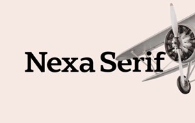 现代几何风海报标签徽标logo设计psai衬线英文字体安装包 Myfonts – Nexa Serif Font Family