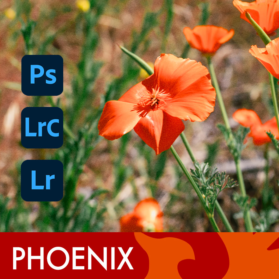 复古美学哈曼PHOENIX200彩色胶片模拟LR调色预设 Film is Fun - Harman Phoenix 200 Film Emulation Lightroom Preset , 第1张-素材湾丨精选海外优质设计素材资源 复古美学哈曼PHOENIX200彩色胶片模拟LR调色预设 Film is Fun - Harman Phoenix 200 Film Emulation Lightroom Preset , sucaiwan.com