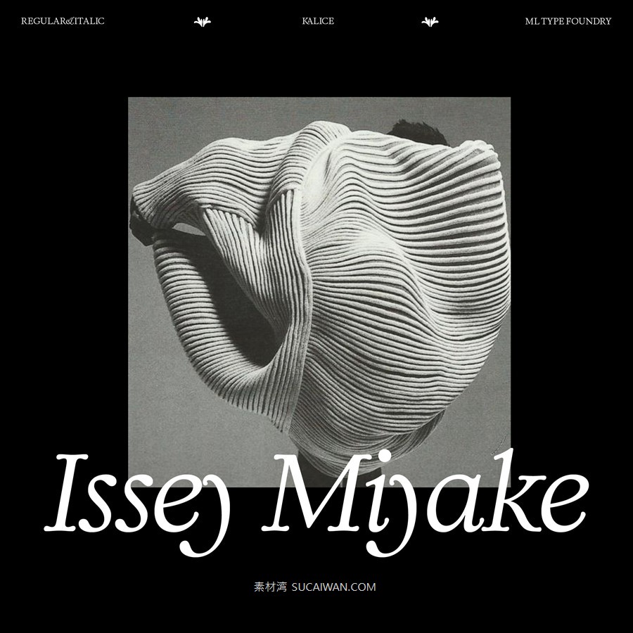 英文字体:现代优雅精致时尚标题斜体排版logo衬线字体 Kalice font 设计素材 第7张-素材湾丨精选海外优质设计素材资源 英文字体:现代优雅精致时尚标题斜体排版logo衬线字体 Kalice font 设计素材 sucaiwan.com
