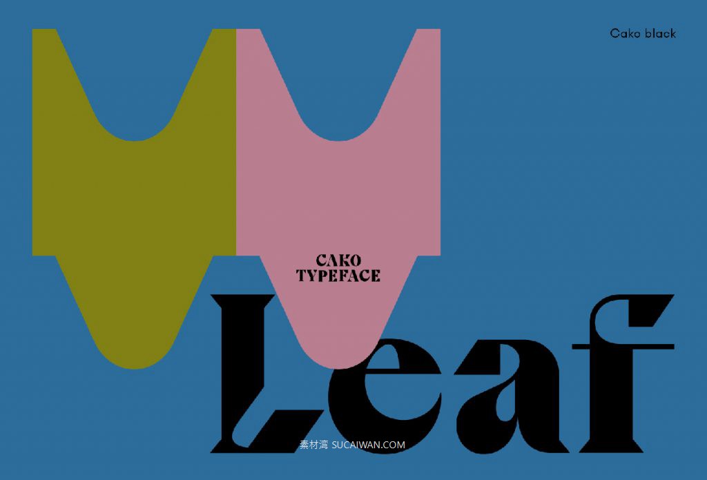 潮流逆反差视觉海报标题logo设计psai英文字体安装包 Cako Font Family 设计素材 sucaiwan.com