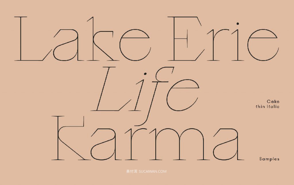 潮流逆反差视觉海报标题logo设计psai英文字体安装包 Cako Font Family 设计素材 sucaiwan.com