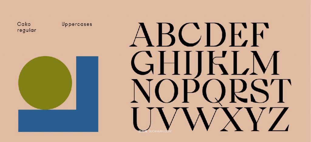 潮流逆反差视觉海报标题logo设计psai英文字体安装包 Cako Font Family 设计素材 sucaiwan.com