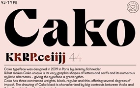 潮流逆反差视觉海报标题logo设计psai英文字体安装包 Cako Font Family