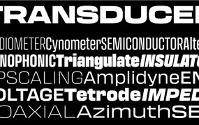 现代简洁线条视觉冲击几何风psai无衬线英文字体安装包 Adobe Fonts – Transducer Font Family