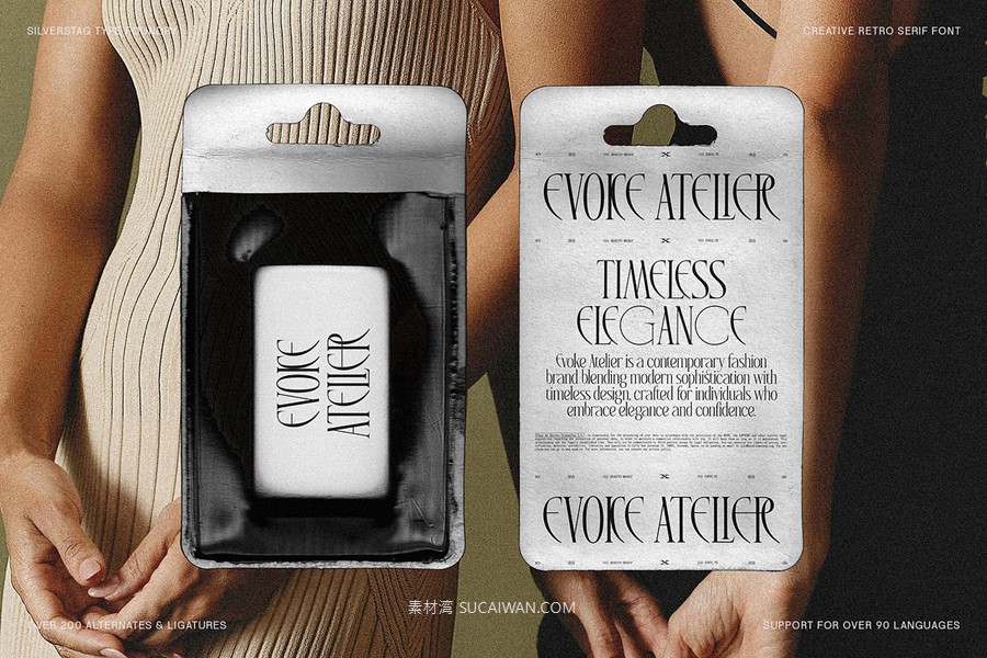 复古风格精致古典美学艺术衬线连字标题logo排版装饰字体 SLTF Rogue Rebellion - Ligature Serif Font , sucaiwan.com