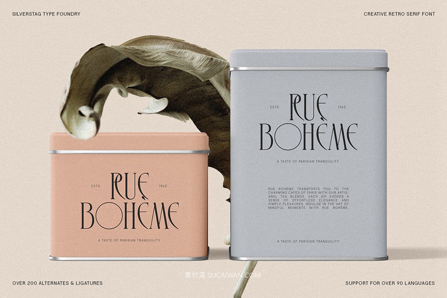 复古风格精致古典美学艺术衬线连字标题logo排版装饰字体 SLTF Rogue Rebellion - Ligature Serif Font , sucaiwan.com