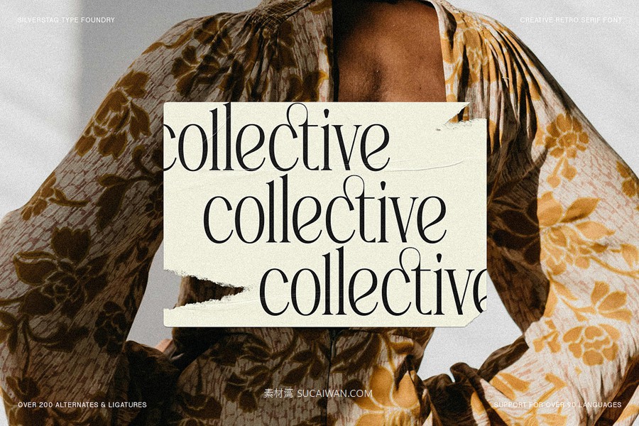 复古风格精致古典美学艺术衬线连字标题logo排版装饰字体 SLTF Rogue Rebellion - Ligature Serif Font , sucaiwan.com