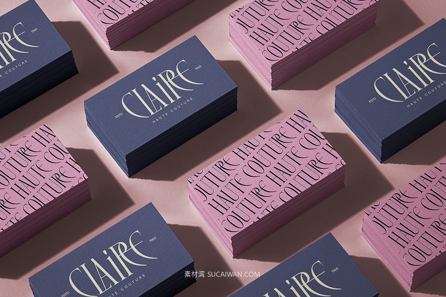 复古风格精致古典美学艺术衬线连字标题logo排版装饰字体 SLTF Rogue Rebellion - Ligature Serif Font , sucaiwan.com