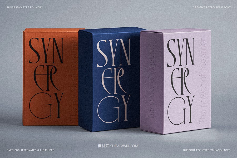 复古风格精致古典美学艺术衬线连字标题logo排版装饰字体 SLTF Rogue Rebellion - Ligature Serif Font , sucaiwan.com