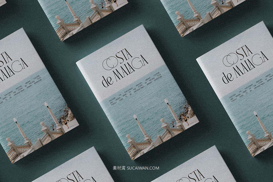 复古风格精致古典美学艺术衬线连字标题logo排版装饰字体 SLTF Rogue Rebellion - Ligature Serif Font , sucaiwan.com