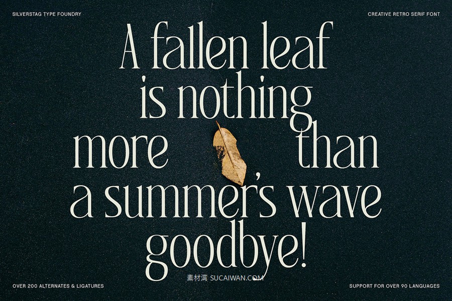 复古风格精致古典美学艺术衬线连字标题logo排版装饰字体 SLTF Rogue Rebellion - Ligature Serif Font , sucaiwan.com