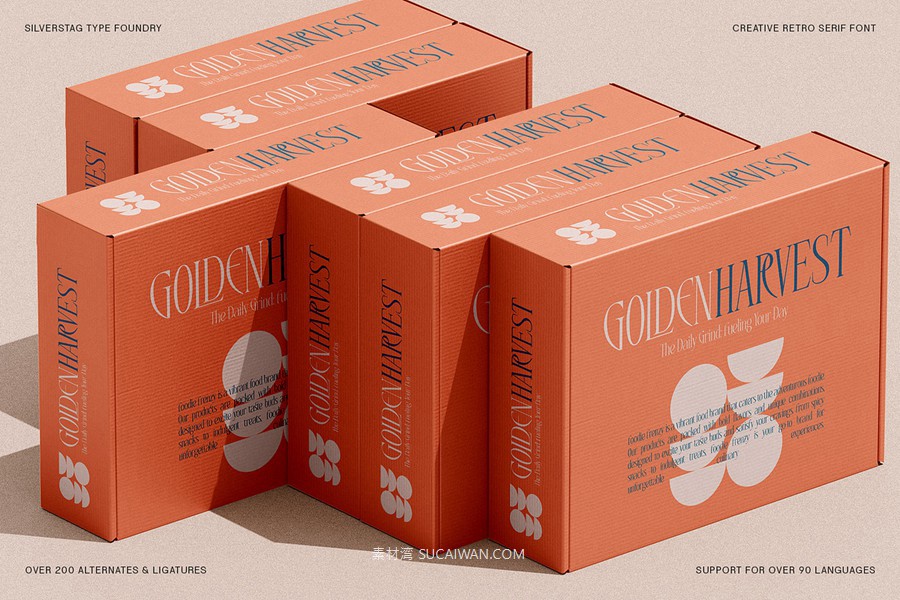复古风格精致古典美学艺术衬线连字标题logo排版装饰字体 SLTF Rogue Rebellion - Ligature Serif Font , sucaiwan.com