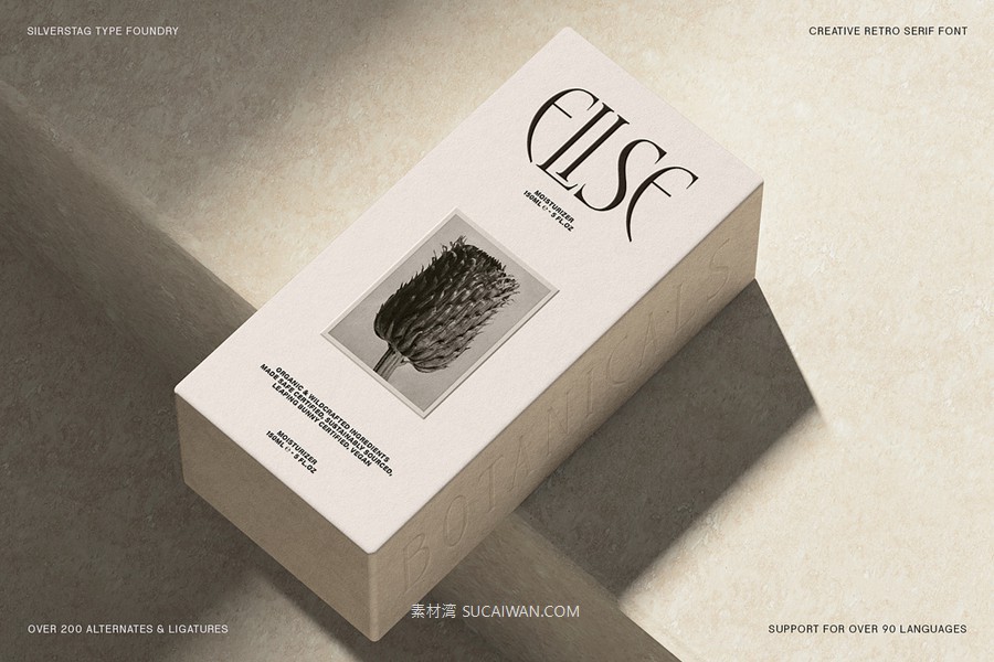 复古风格精致古典美学艺术衬线连字标题logo排版装饰字体 SLTF Rogue Rebellion - Ligature Serif Font , sucaiwan.com