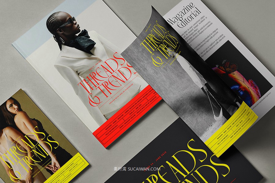 复古风格精致古典美学艺术衬线连字标题logo排版装饰字体 SLTF Rogue Rebellion - Ligature Serif Font , sucaiwan.com