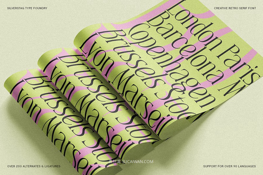 复古风格精致古典美学艺术衬线连字标题logo排版装饰字体 SLTF Rogue Rebellion - Ligature Serif Font , sucaiwan.com