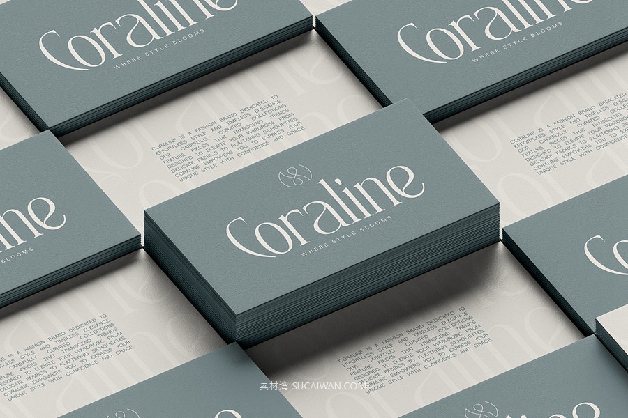 复古风格精致古典美学艺术衬线连字标题logo排版装饰字体 SLTF Rogue Rebellion - Ligature Serif Font , sucaiwan.com