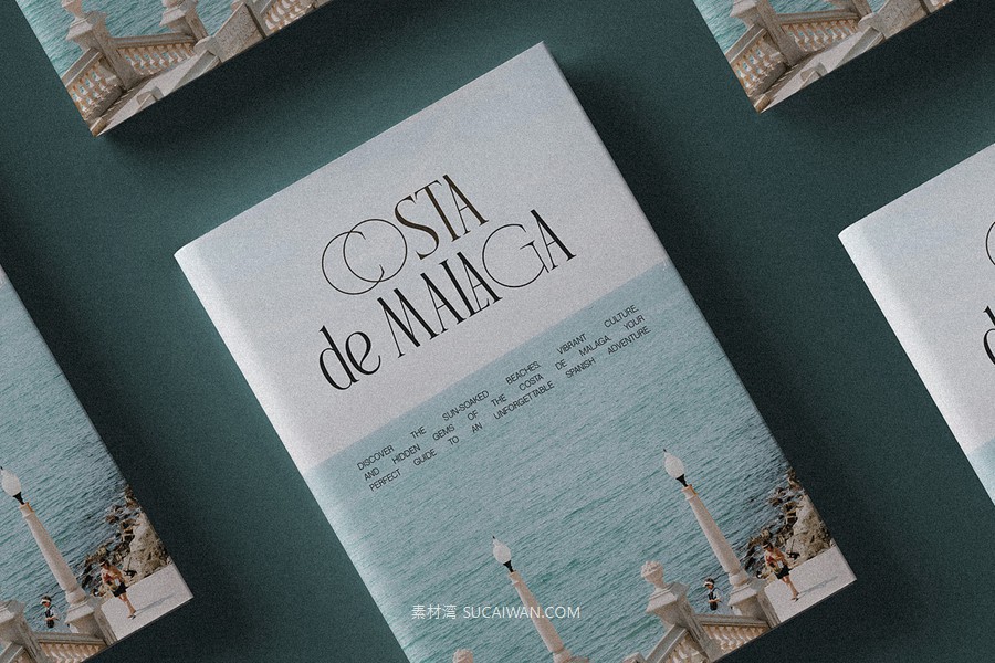 复古风格精致古典美学艺术衬线连字标题logo排版装饰字体 SLTF Rogue Rebellion - Ligature Serif Font , sucaiwan.com