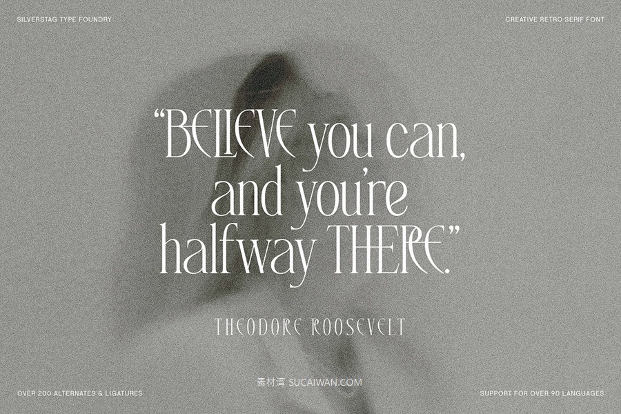 复古风格精致古典美学艺术衬线连字标题logo排版装饰字体 SLTF Rogue Rebellion - Ligature Serif Font , sucaiwan.com