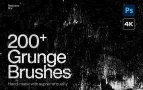 200+款复古风格做旧粗糙裂纹砂砾ps笔刷画笔设计素材 Grunge Brushes for Photoshop